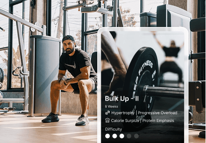 bulk-up